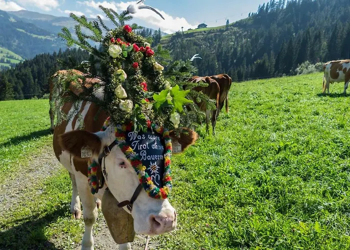 Obergaisberg Kirchberg in Tirol
