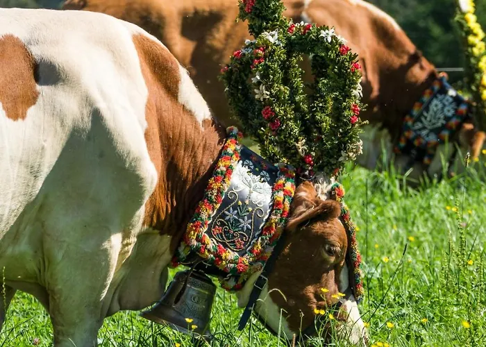 Obergaisberg Värdshus Kirchberg in Tirol