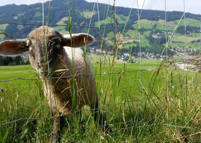 Obergaisberg 2* Kirchberg en Tyrol